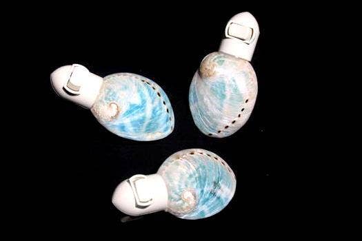 Three abalone shell night lights on a black background