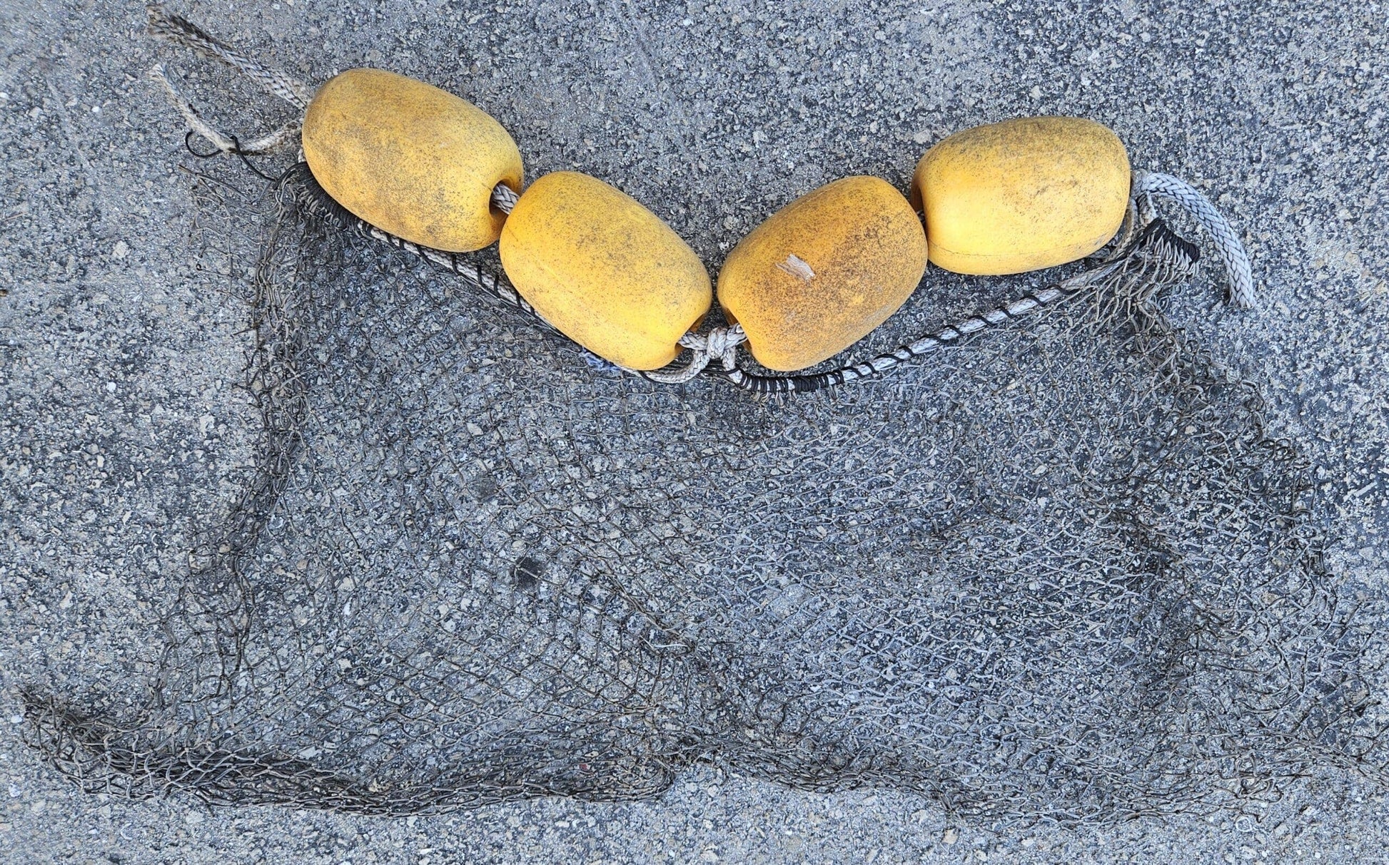 4 floats on a rope with fish net