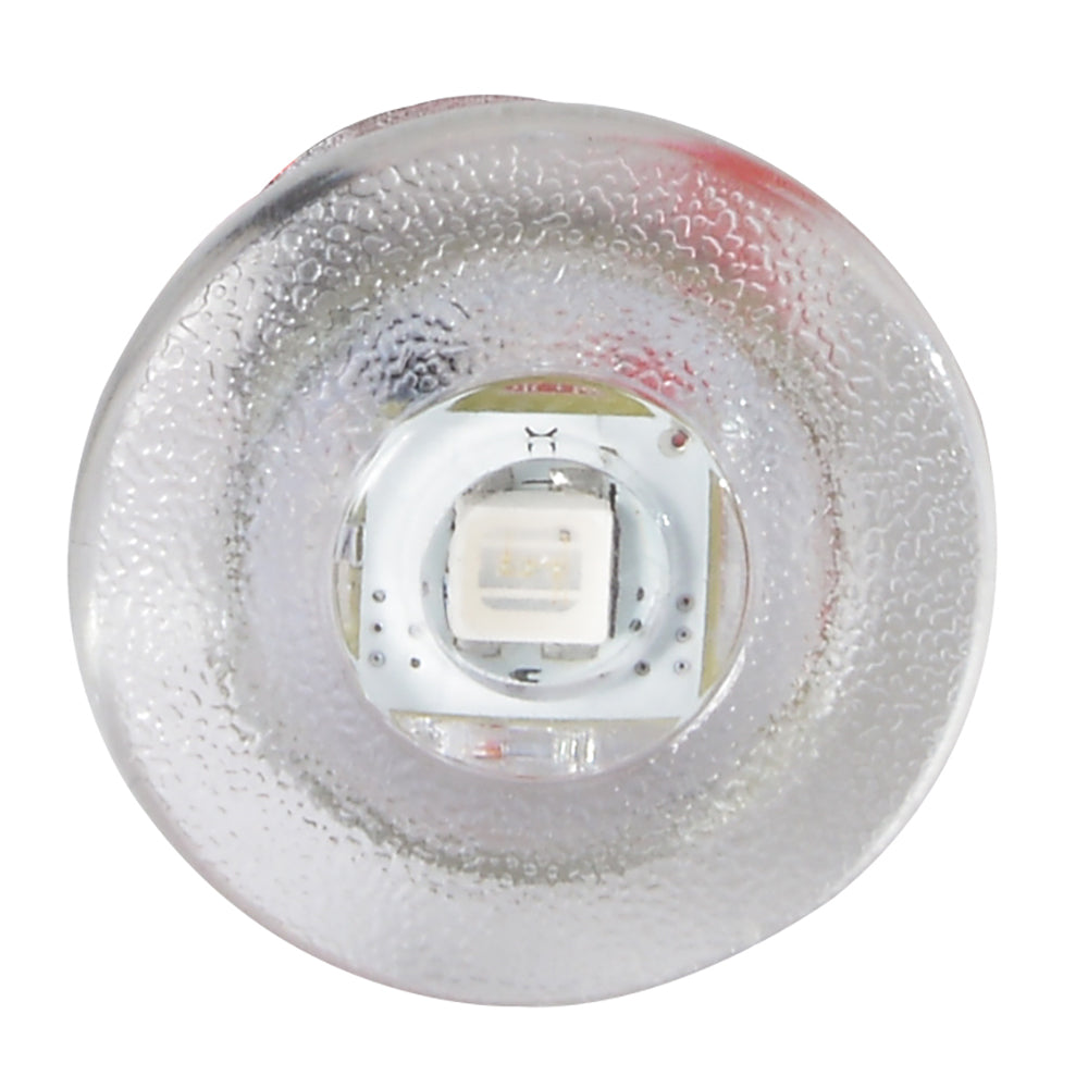 Lumitec Newt  Livewell  Courtesy Light  Red Dimming 101086