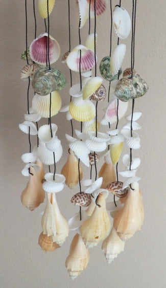 Decorative shell mobile with various shells on a string against a neutral background