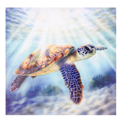 Colorful illustration of a turtle swimming in water with light effects